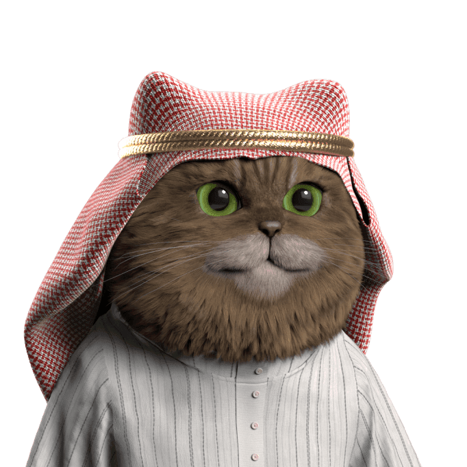 About cat