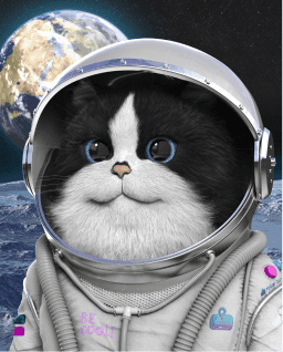 Cat image