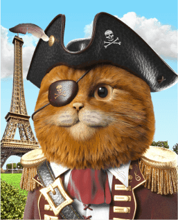 Cat image