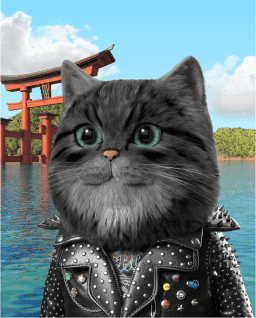Cat image