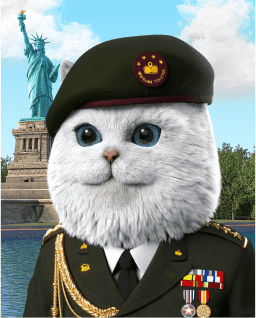 Cat image